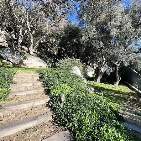 La Julea